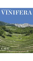 Vinifera 65 - Version PDF