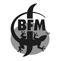 BFM