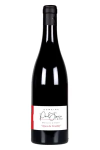 Moulin-à-Vent, Les Vignes du Tremblay, Paul Janin & Fils - 2022