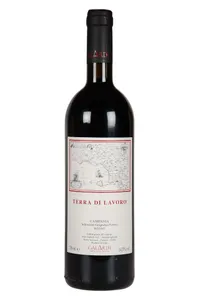 Campania IGP, Terra di Lavoro, Galardi - 2020