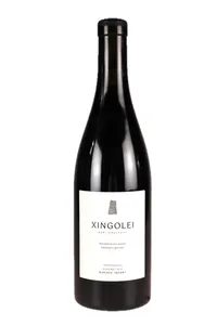 Irouléguy, Xingolei, Goienetxea - 2022