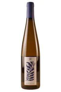 Alsace, Au Fil de l'Ill, Vignoble du Rêveur - 2024