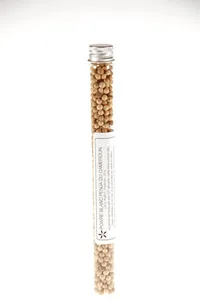 Poivre BLANC Penja du Cameroun, Spices & Vanilla (25 gr.)