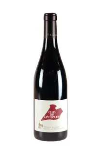 Saumur-Champigny, Clos de l'Echelier, Roches Neuves - 2020