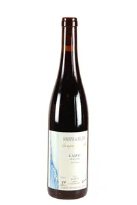 Gamay Vieilles Vignes, Domaine de Beudon - 2016