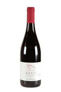 Fläscher, Pinot Noir Sélection, Weingut Bovel - 2022