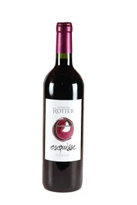 Gaillac rouge, Esquisse, Domaine Rotier - 2023