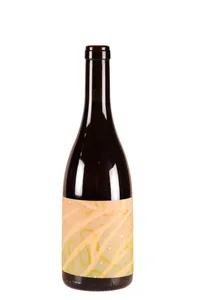 Bielersee, Aroma der Landschaft, Pinot gris (vin orange), Schott - 2020