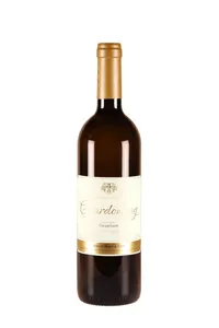 Chardonnay Vieilles Vignes, Simon Maye et Fils - 2022