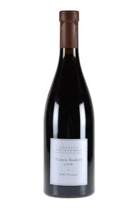 Coteaux champenois, Mailly-Champagne, F. Boulard - 2019