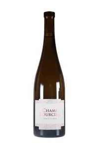 Savennières, Champ Bourcier, Damien Laureau - 2019