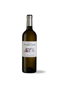 Château Puygueraud blanc, Côtes de Bordeaux Francs - 2022
