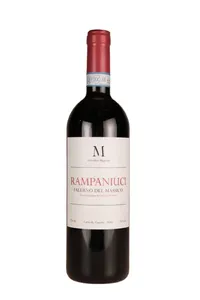 Falerno del Massico, Rampaniuci, Vit. Migliozzi - 2019