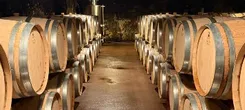 Mitjavile