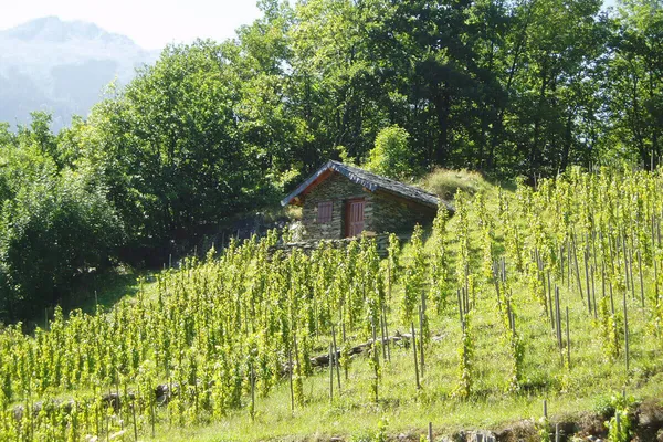 Image Ardoisières no.0