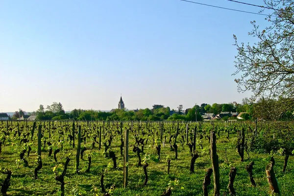 Image Du Bel Air, P. Gauthier no.0