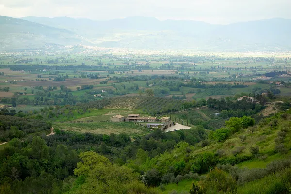 Image Tenuta Bellafonte no.2