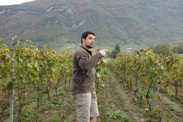 Image Cellier des Cray no.0