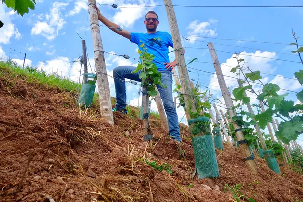 Image Albert Boxler no.0