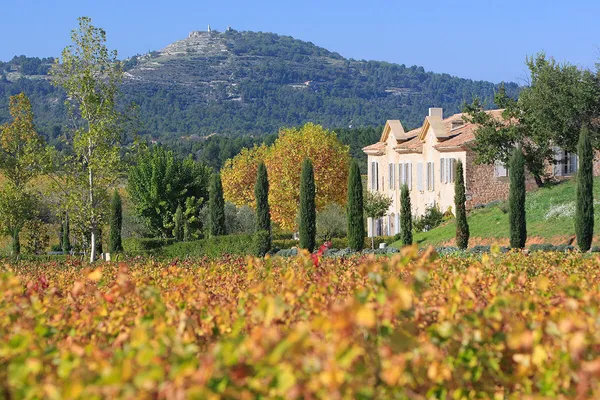 Image Château Paradis no.0