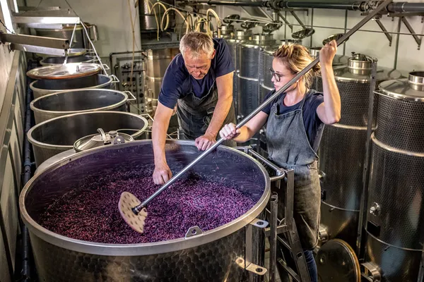 Image Claudy Clavien no.0