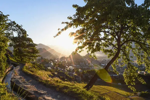 Image Domaine Cornulus no.0