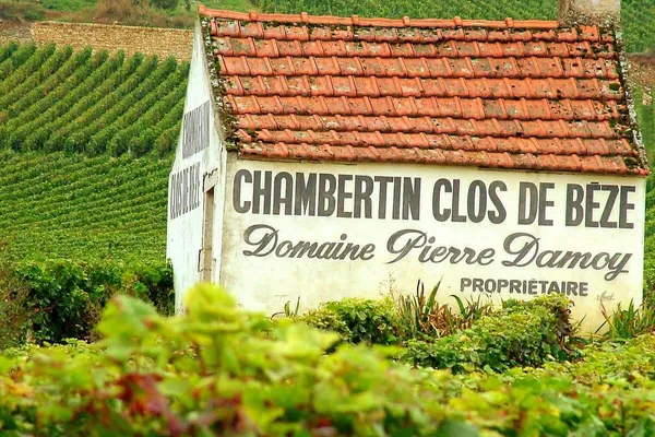 Image Pierre Damoy no.0