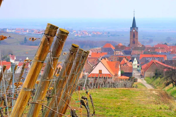 Image Marcel Deiss no.0