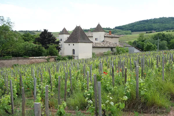 Image Jules Desjourneys no.1