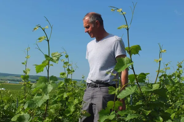 Image Didier Doué no.0