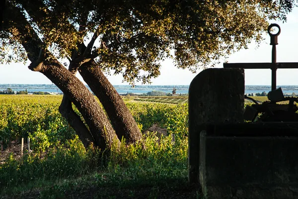 Image Michel Gassier no.1