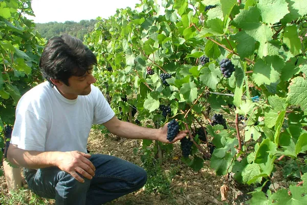 Image Saint-Jacques no.0