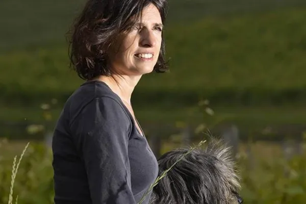 Image Labranche-Laffont no.0