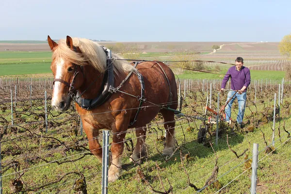 Image Benoit Lahaye no.0