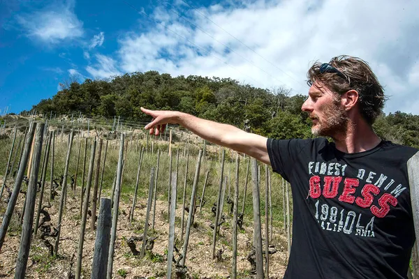 Image Lionnet, Terre Brûlée no.0