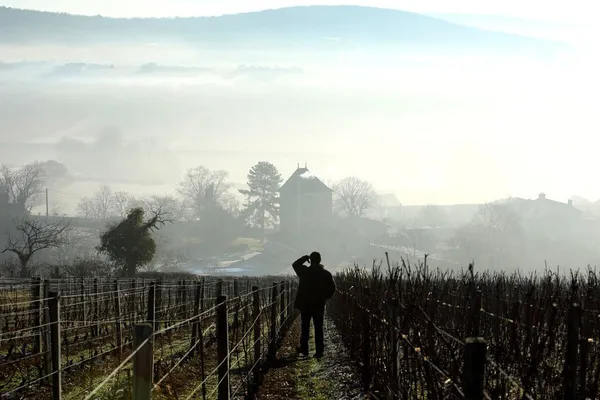 Image Nicolas Maillet no.0