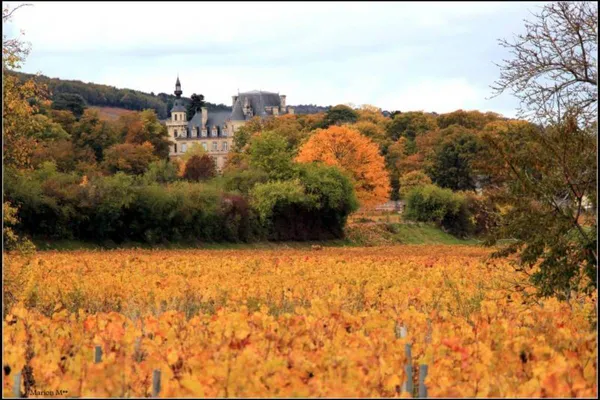 Image Marchand-Grillot no.0