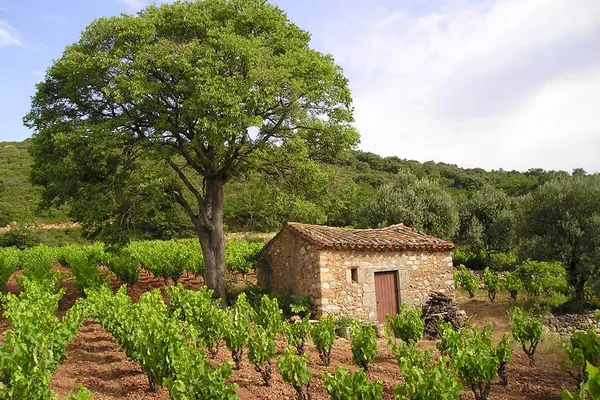 Image Mas Jullien no.0