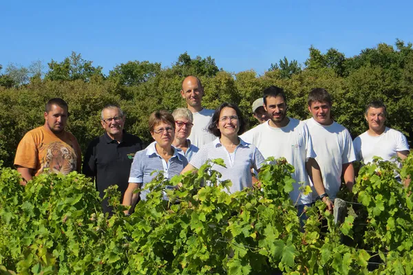 Image Masson-Blondelet no.0