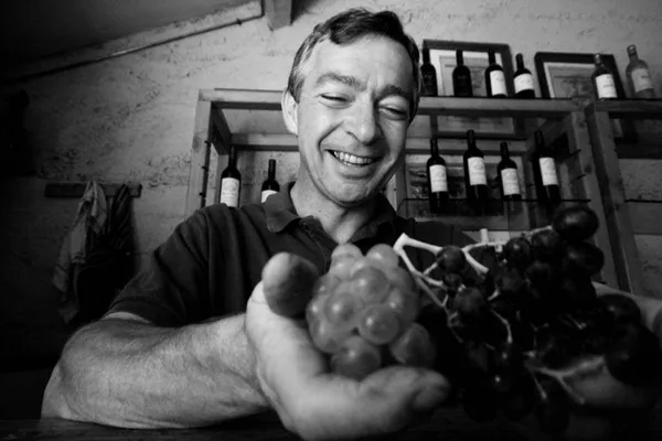 Image Thierry Navarre no.0