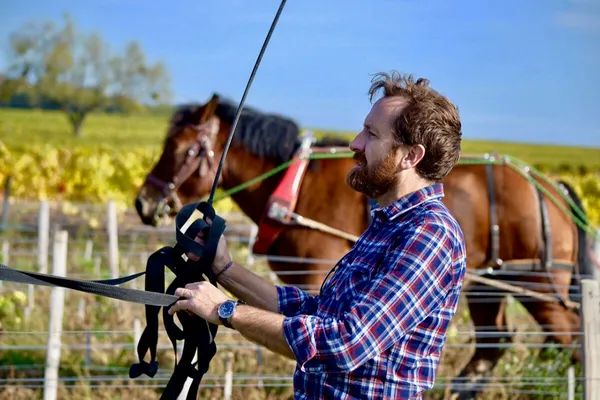 Image Domaine des Roches Neuves no.0