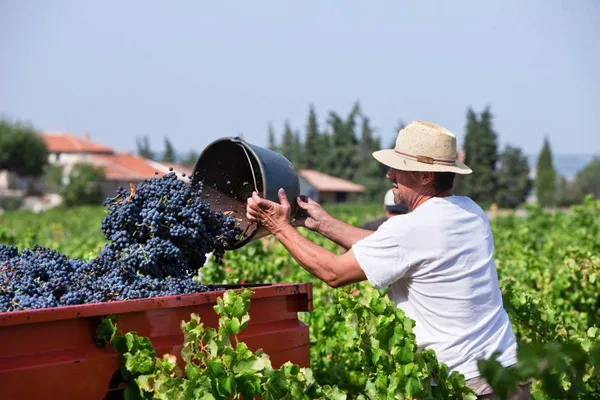 Image La Roubine no.0