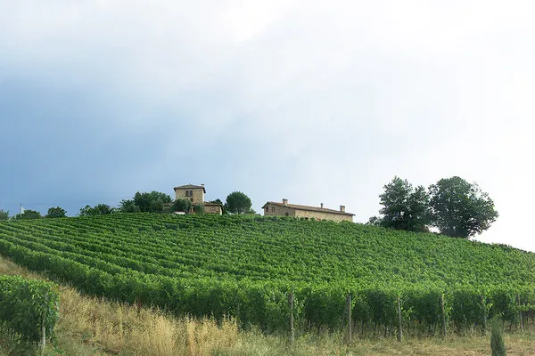 Image San  Giusto A Rentennano no.0