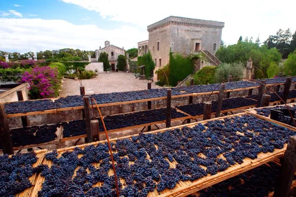 Image Agricole Vallone no.0