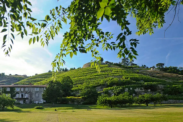 Image Georges Vernay no.1