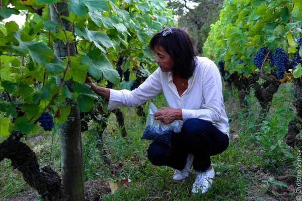 Image Georges Vernay no.0