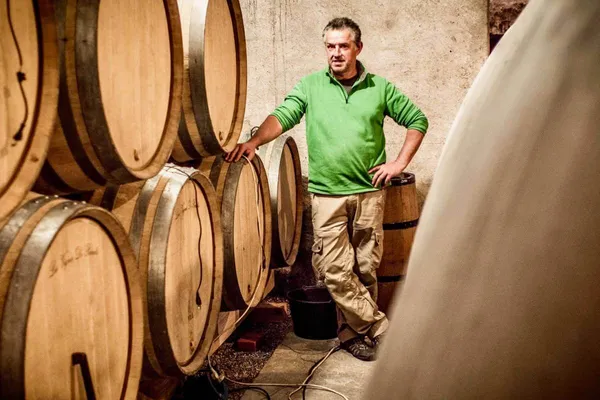 Image Les Vignes de Paradis no.0