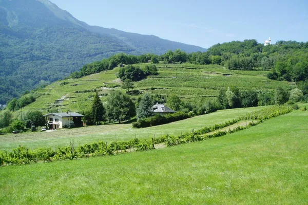 Image Ardoisières no.1