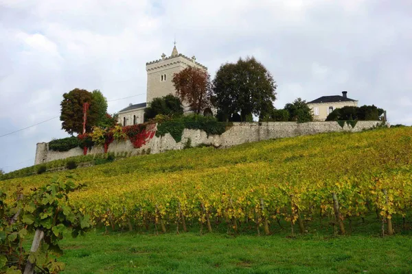 Image Cellier des Cray no.1