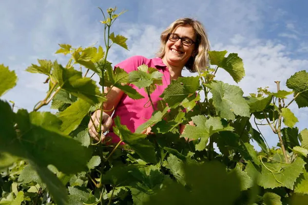 Image Francis Boulard no.1